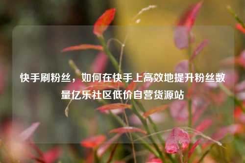 快手刷粉丝，如何在快手上高效地提升粉丝数量亿乐社区低价自营货源站  第1张
