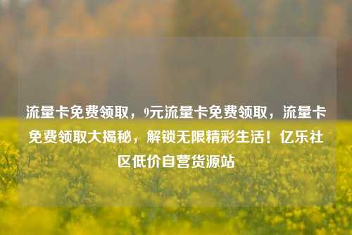 流量卡免费领取，9元流量卡免费领取，流量卡免费领取大揭秘，解锁无限精彩生活！亿乐社区低价自营货源站  第1张