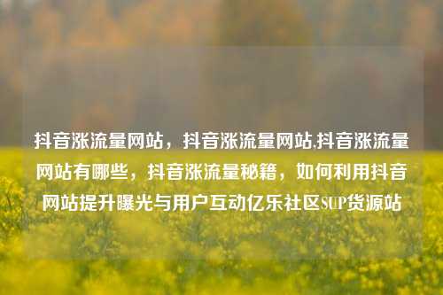 抖音涨流量网站	，抖音涨流量网站,抖音涨流量网站有哪些，抖音涨流量秘籍，如何利用抖音网站提升曝光与用户互动亿乐社区SUP货源站  第1张