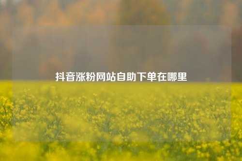 抖音涨粉网站自助下单在哪里  第1张