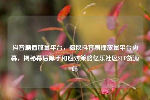 抖音刷播放量平台，揭秘抖音刷播放量平台内幕	，揭秘幕后黑手和应对策略亿乐社区SUP货源站  第1张