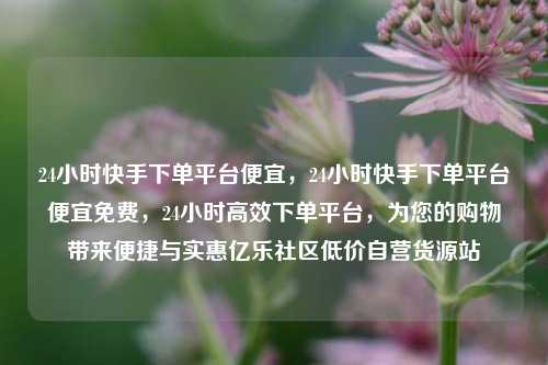 24小时快手下单平台便宜，24小时快手下单平台便宜免费，24小时高效下单平台	，为您的购物带来便捷与实惠亿乐社区低价自营货源站  第1张